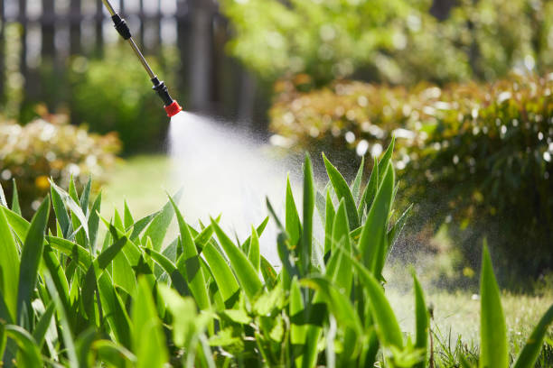 24/7 Emergency Ant Control experts in Raleigh, NC