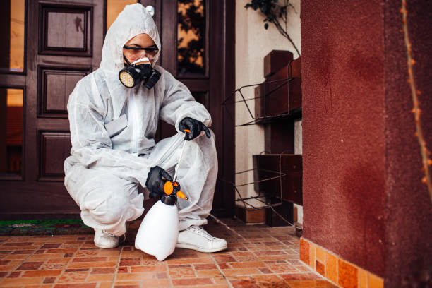 Reliable Ant Control contractor in Raleigh, NC by Show Me Pest Control